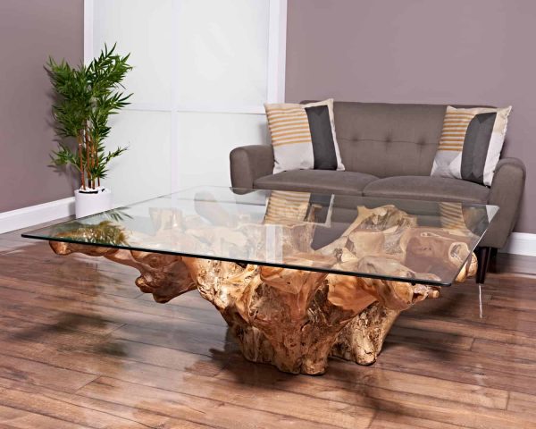 Teak Root Coffee Table square large size