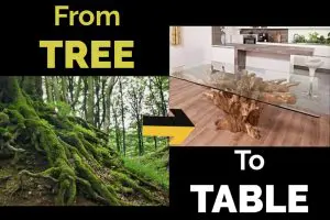 teak root dining table - from tree to table